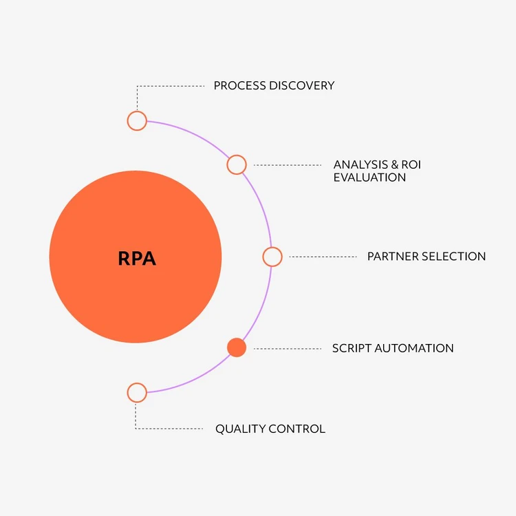 Infographic illustrating the ‘RPA’ solution as an orange circle from which five areas branch out in a cascade diagram. The modules, from top to bottom, are: "Process discovery", "Analysis & roi evaluation", "Partner selection", "Script automation" and "Quality control". In this image, the focus is on the Script automation process.